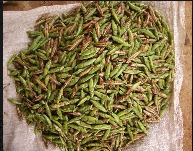 Senene kagera community radio