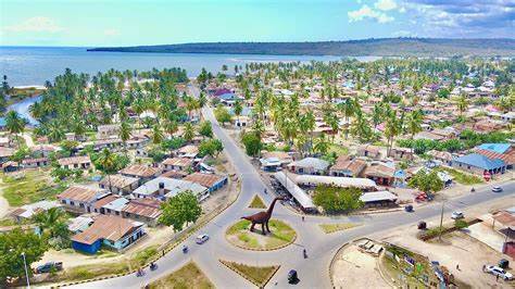 lindi yaadhimisha siku ya wajane kimkoaa