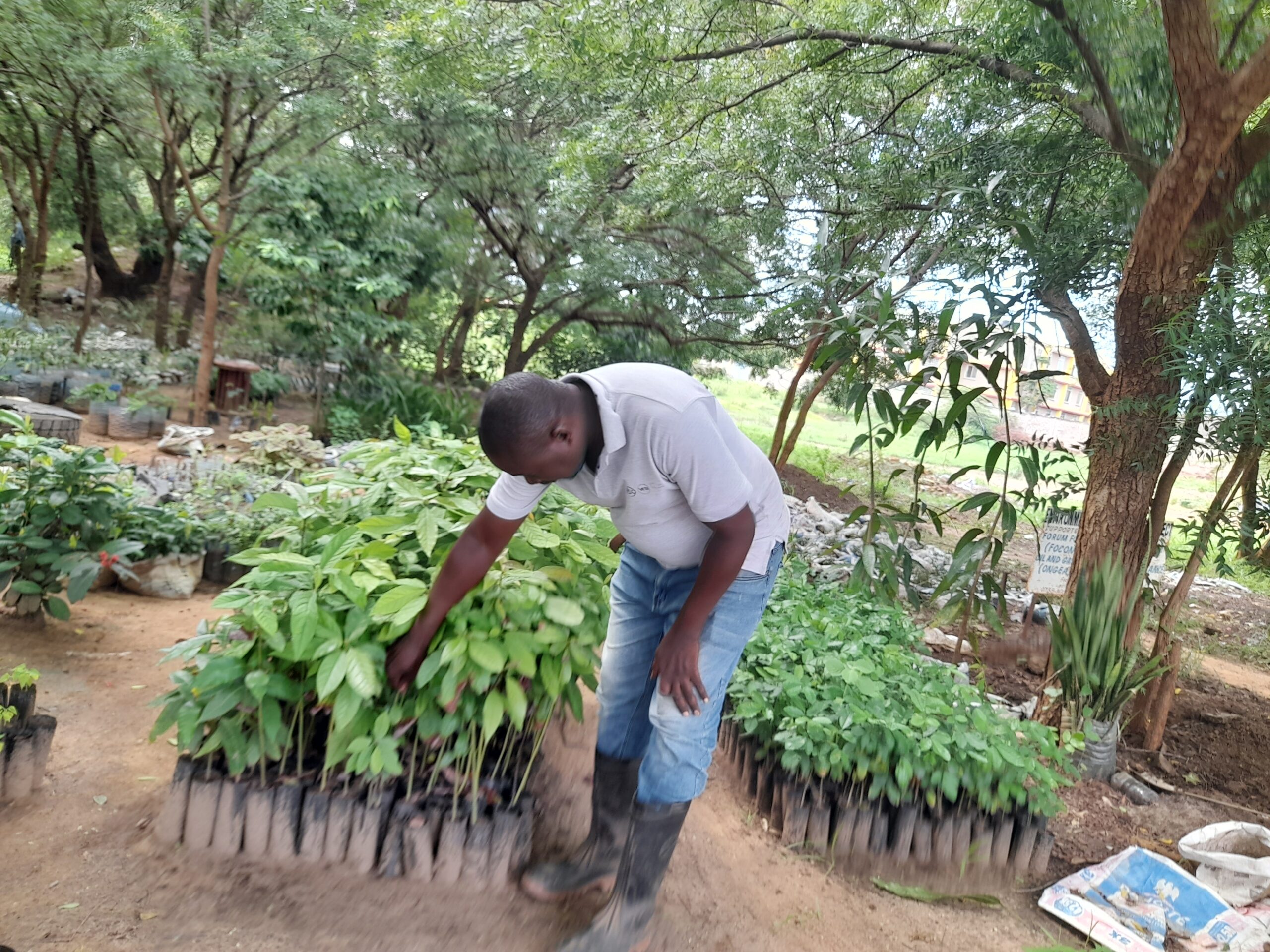 Nelson Everisty mkazi wa Manispaa ya Mtwara Mikindani ambae amekuwa akizalisha maua katika Eneo hilo huku akielezea namna yanavyoweza kutunza Mazingira ya Nyumbani na mengine hutumika kama Dawa na Matunda.